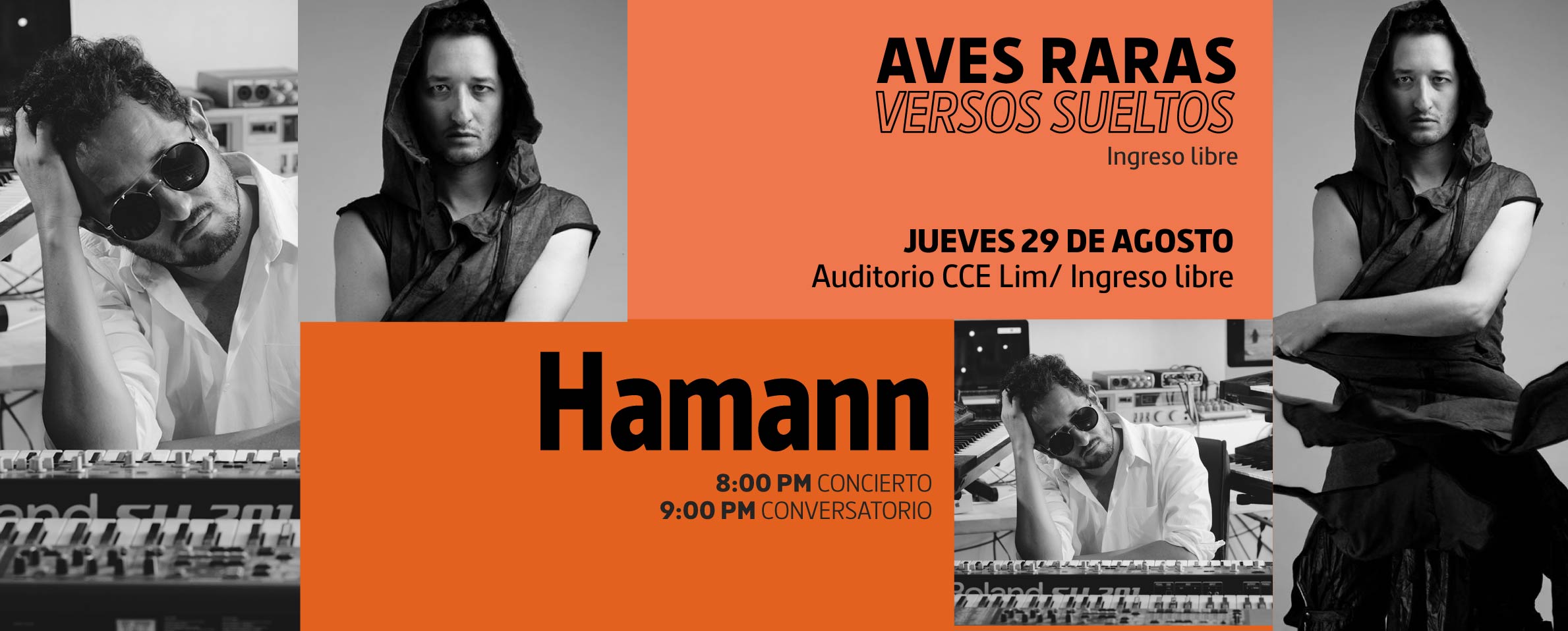 Aves Raras Versos Sueltos 2024 Hamann