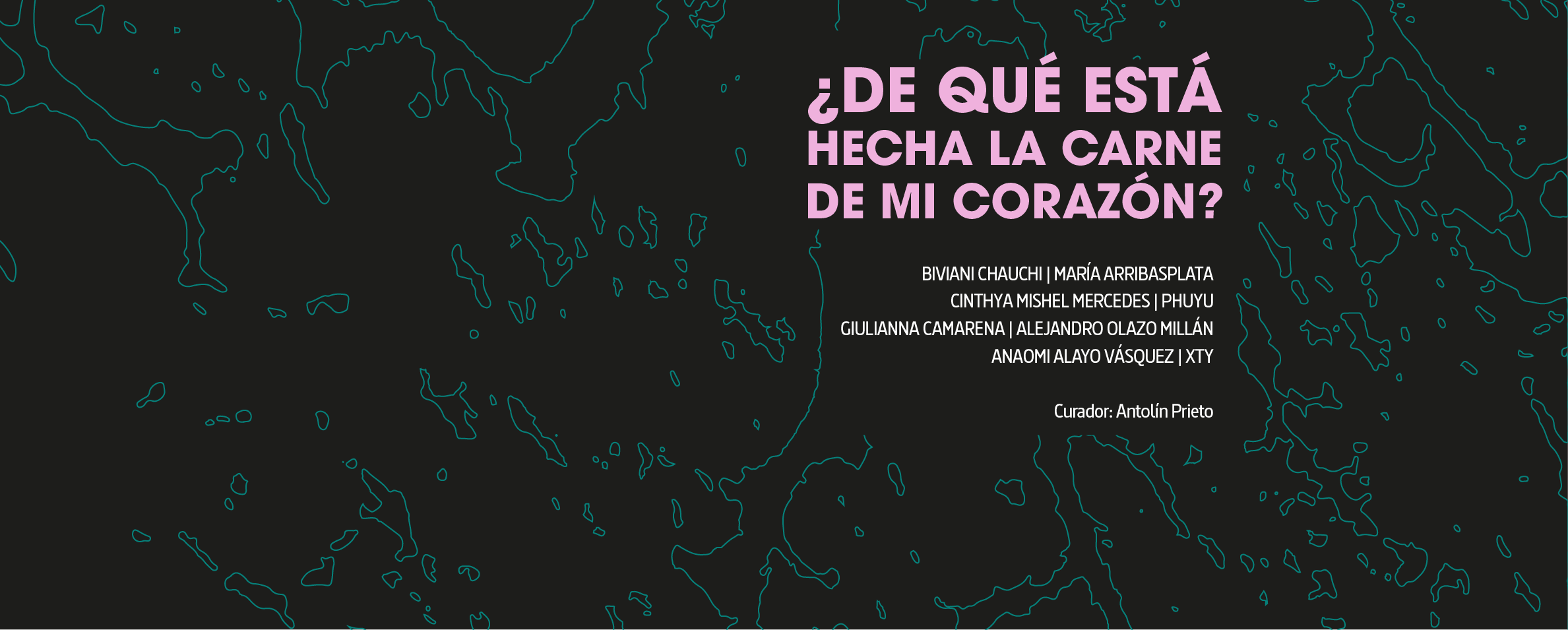 Sobre fondo negro aparecen las siluetas en verde de múltiples islas de diferentes tamaños y en medio de ellas se lee el título en letras rosadas ¿De qué está hecha la carne de mi corazón? Más abajo, aparecen los nombres de las parejas de artistas Biviani Chauchi y María Arribasplata, Cinthya Mishel Mercedes y Phuyu, Giuliana Camarena y Alejandro Olazo Millán, Anaomi Alayo Vásquez y XTY. Curador: Antolín Prieto.