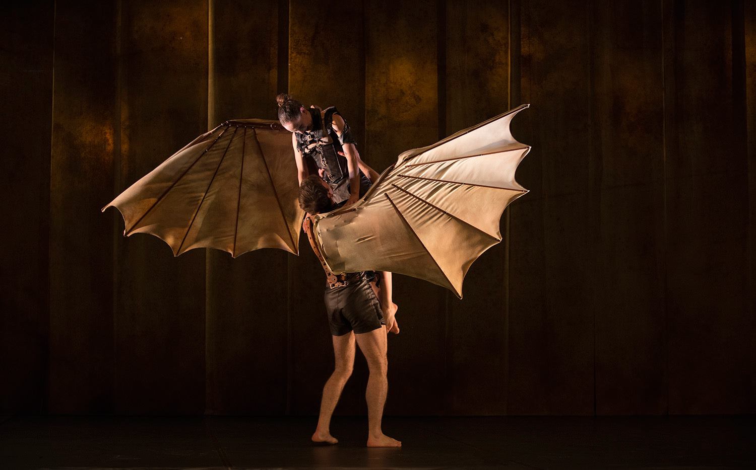 Vuelos Los sueos de Da Vinci