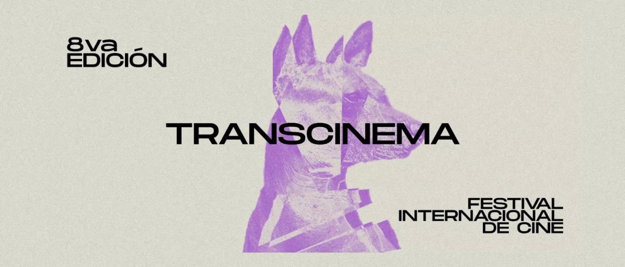 VIII Festival Internacional de Cine Independiente