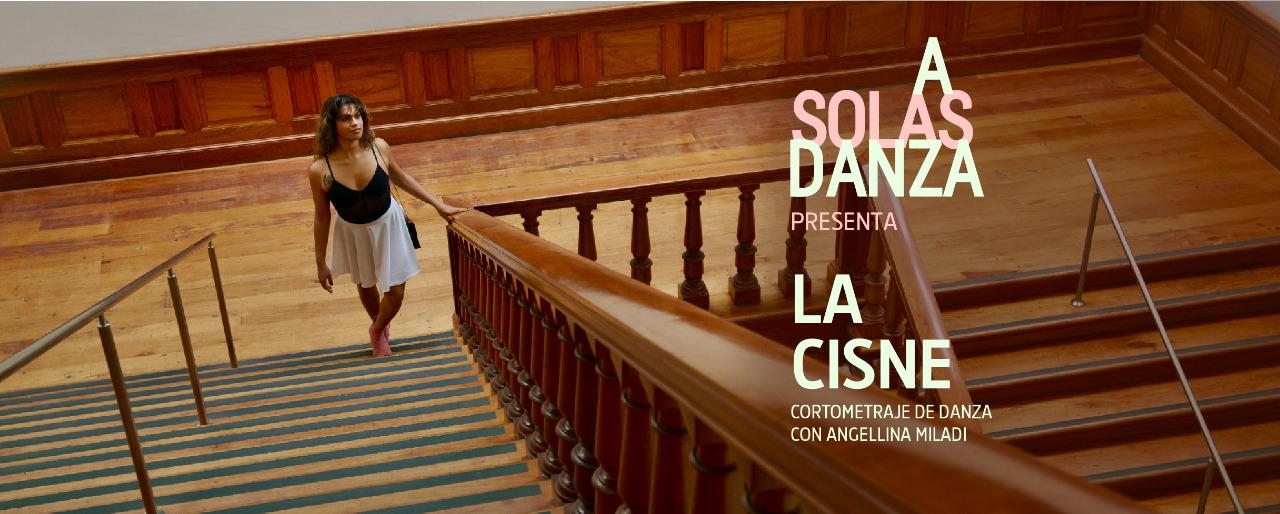 A Solas Danza virtual La Cisne