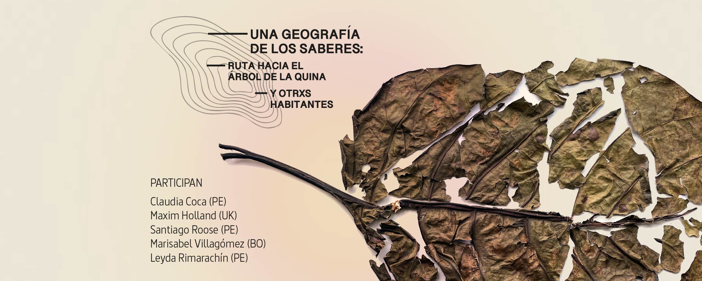 Ruta hacia el rbol de la quina y otrxs habitantes
