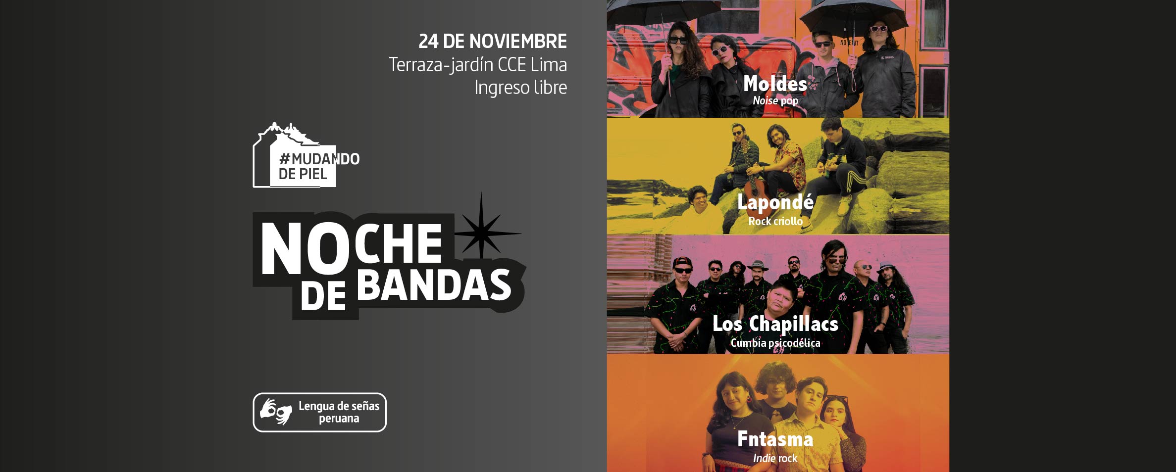 Noche de Bandas