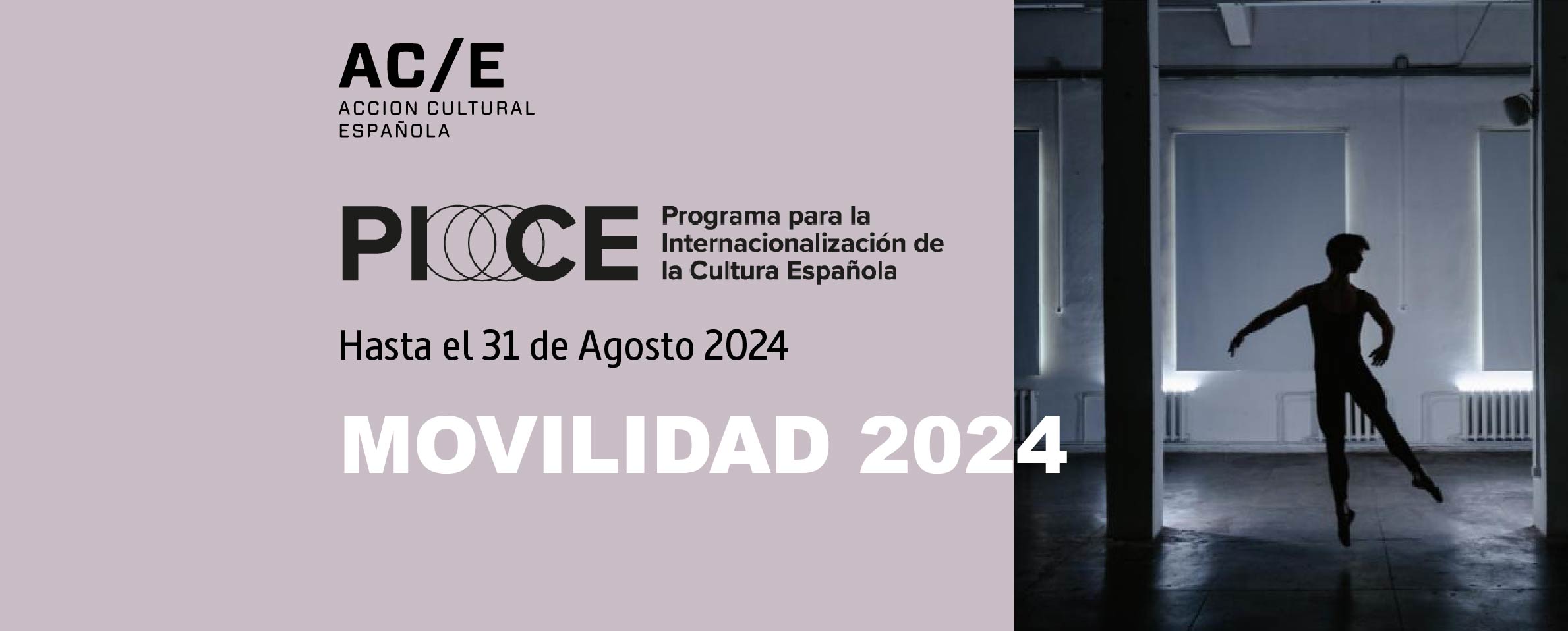 Convocatoria PICE de Ayuda a la Movilidad