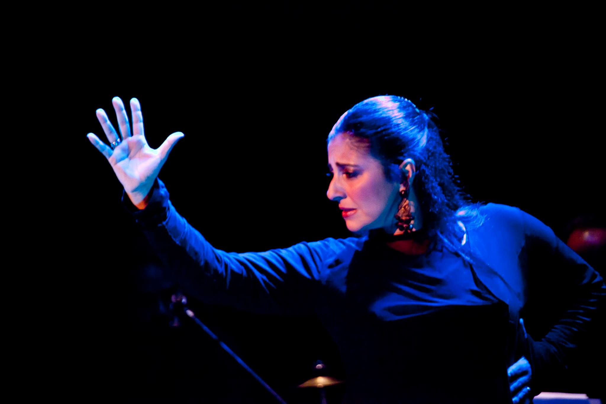 Lourdes Flamenco 1